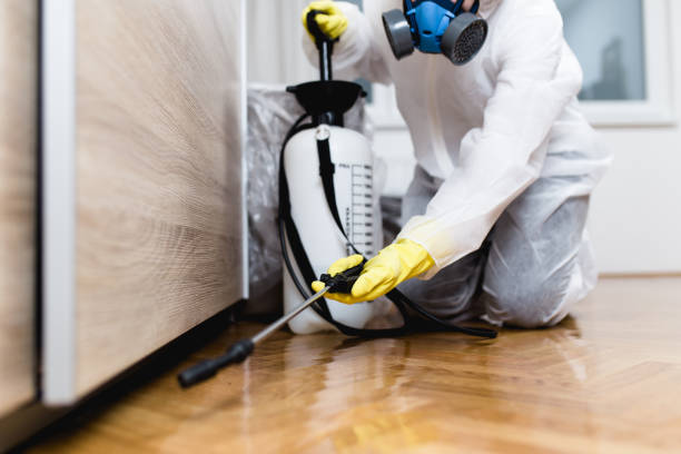 Best Commercial Pest Control Services  in Oreana, IL
