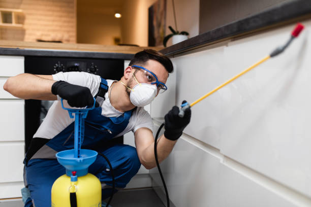 Best Affordable Pest Control Services  in Oreana, IL