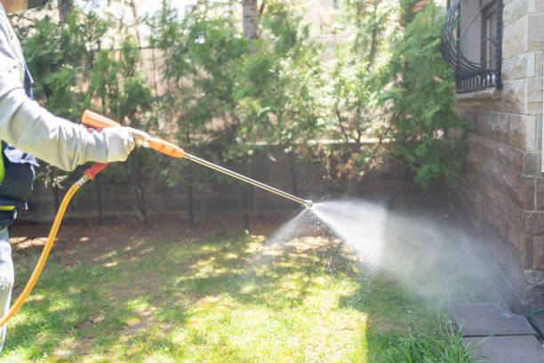 Best Residential Pest Control  in Oreana, IL