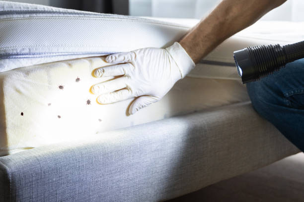Oreana, IL Pest Control Company
