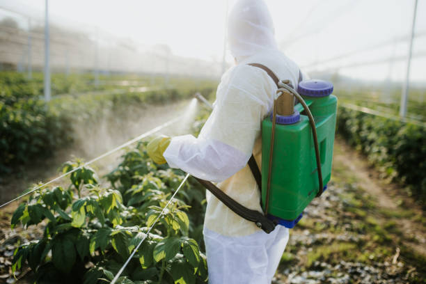 Best Pest Prevention Services  in Oreana, IL
